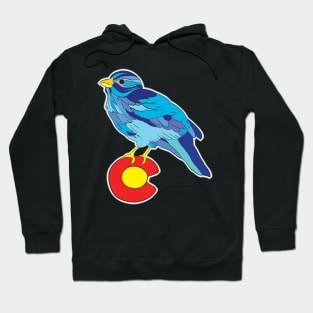 Colorado bluebird sky Hoodie